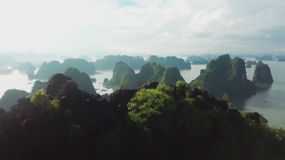 Awesome-F5DFEB47-E0B5-45AE-AA1C-6412B1F1D3E3.mp4