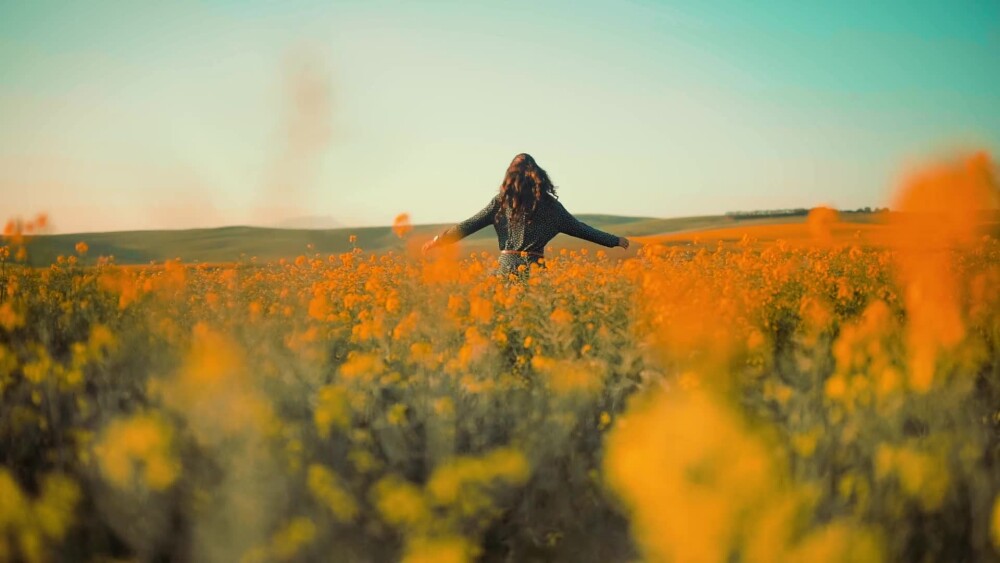 Flores.mp4